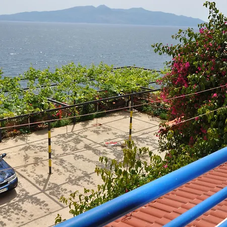 Alvin & Sarandë