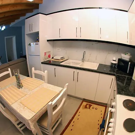 Alvin & Hotel Sarande